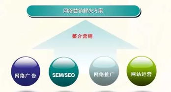 視音頻斷絕下的網銷生存法則 手握出版物許可證的想象空間